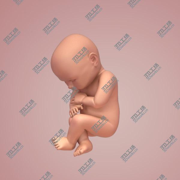 images/goods_img/20210312/Developing Fetus/4.jpg